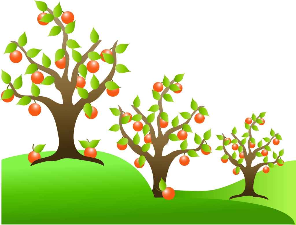 1024x778 Apricot Tree Clip Art Cliparts