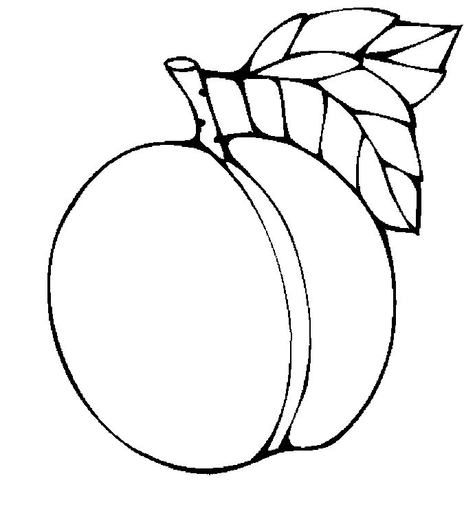 675x744 Apricot Clipart Black And White