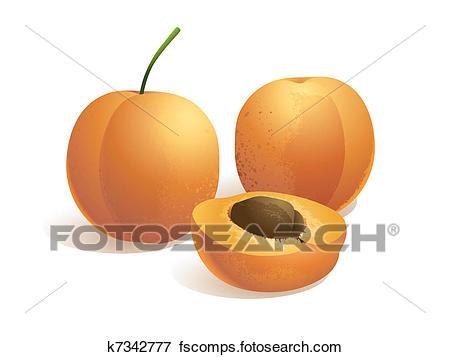 450x357 Clip Art Of Apricot Fruit K7342777