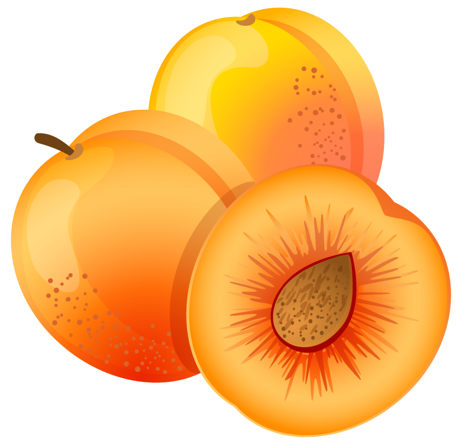 951x917 Large Painted Apricot Png Clipartu200b Gallery Yopriceville