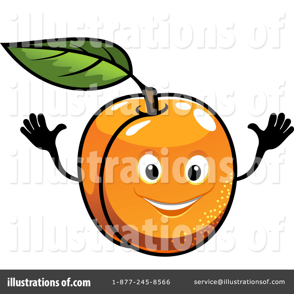 1024x1024 Apricot Clipart
