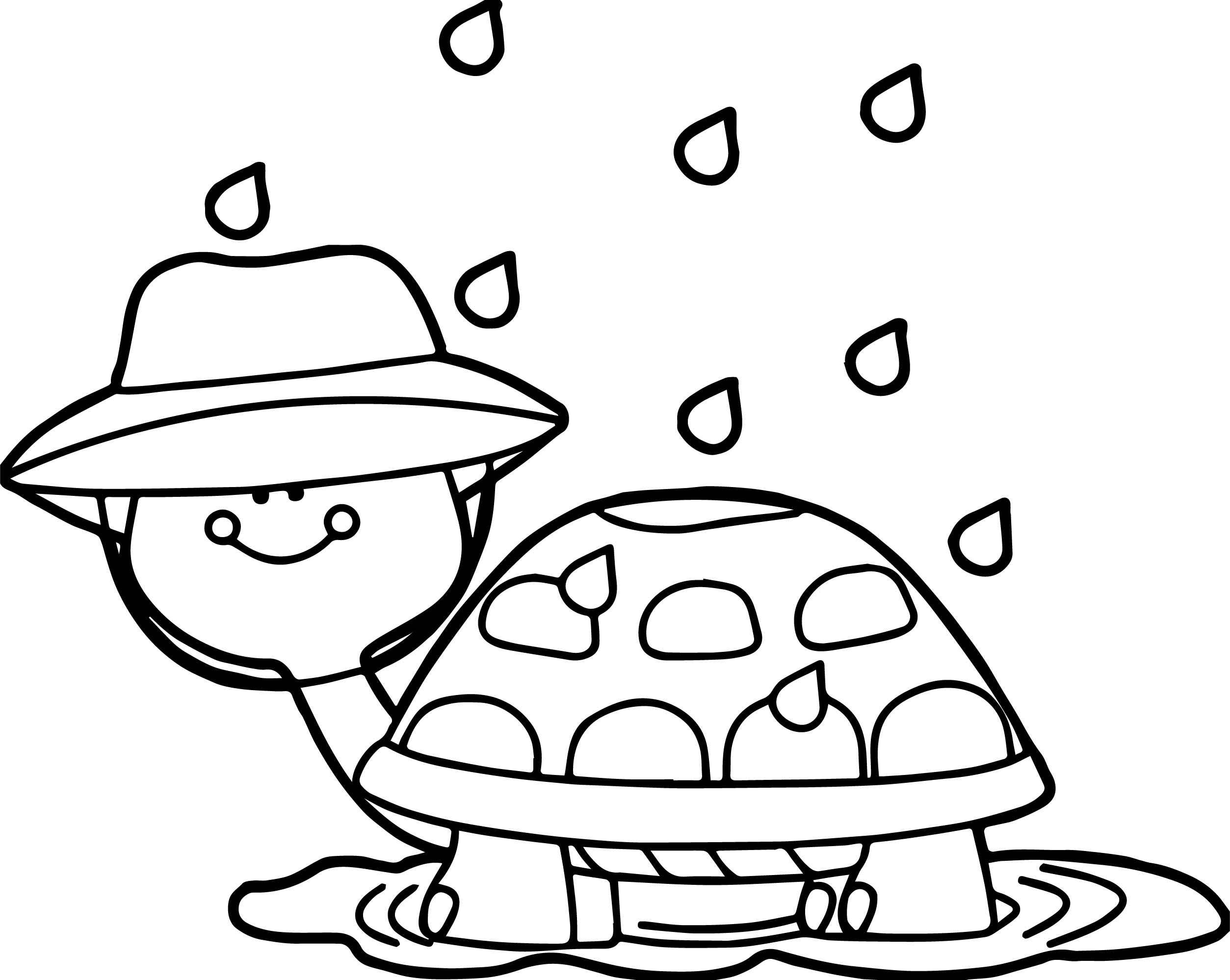 2507x1998 April Shower Turtle Coloring Page Wecoloringpage