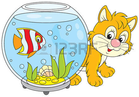 450x314 Aquarium Starfish Clipart, Explore Pictures