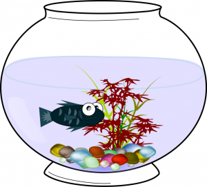 300x271 Aquarium Clip Art Download