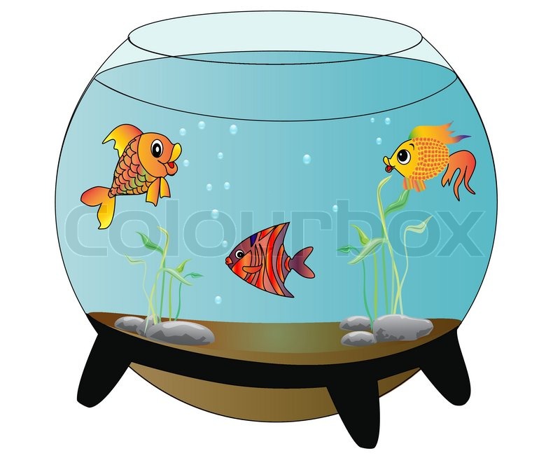 800x654 Aquarium Clipart Vector