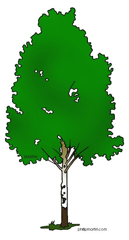 427x792 22 Best Clip Art Trees For Animated Power Points Images