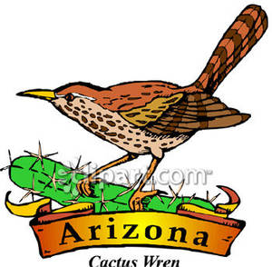 300x294 Arizona State Bird Clipart