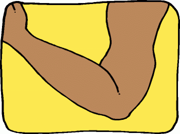 356x265 Regular Clip Body Completely