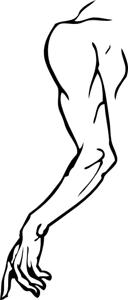 252x589 Left Arm Clip Art Free Vector In Open Office Drawing Svg ( Svg