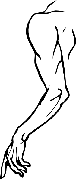 252x589 Left Arm Clip Art