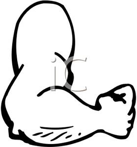 279x300 Free Clipart Image A Muscular Arm