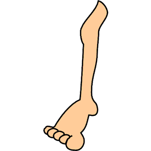 300x300 Legs Clipart Arm Leg