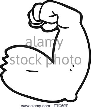 300x360 Freehand Drawn Cartoon Strong Arm Flexing Bicep Stock Vector Art