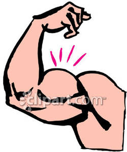 250x300 Biceps Clipart