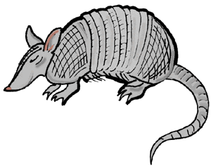 300x239 Top 85 Armadillo Clipart