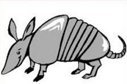 253x168 Top 87 Armadillo Clip Art