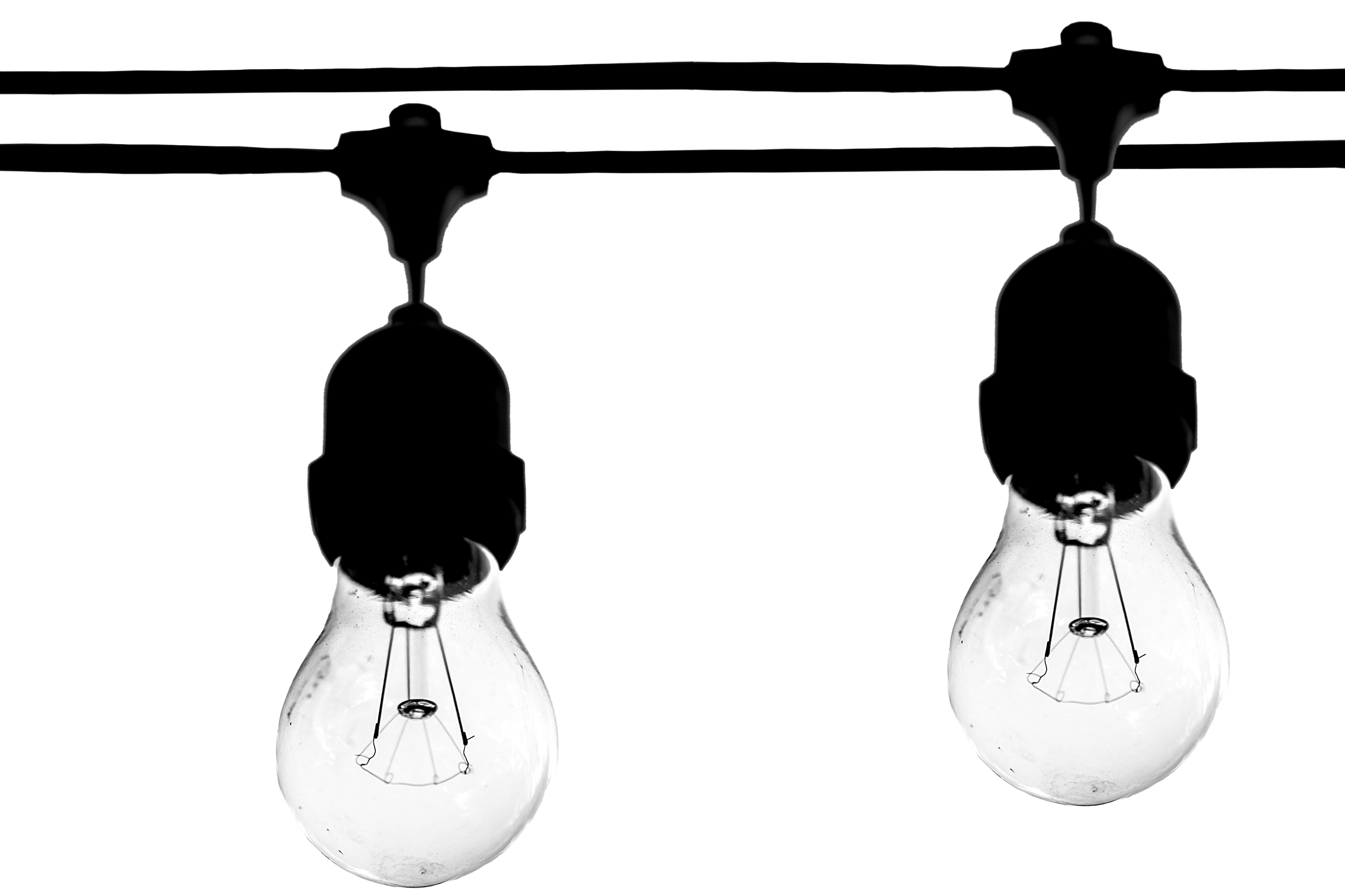 3600x2400 Free Stock Photo Of Art, Black And White, Bulb
