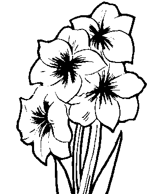 303x382 Line Art Flower
