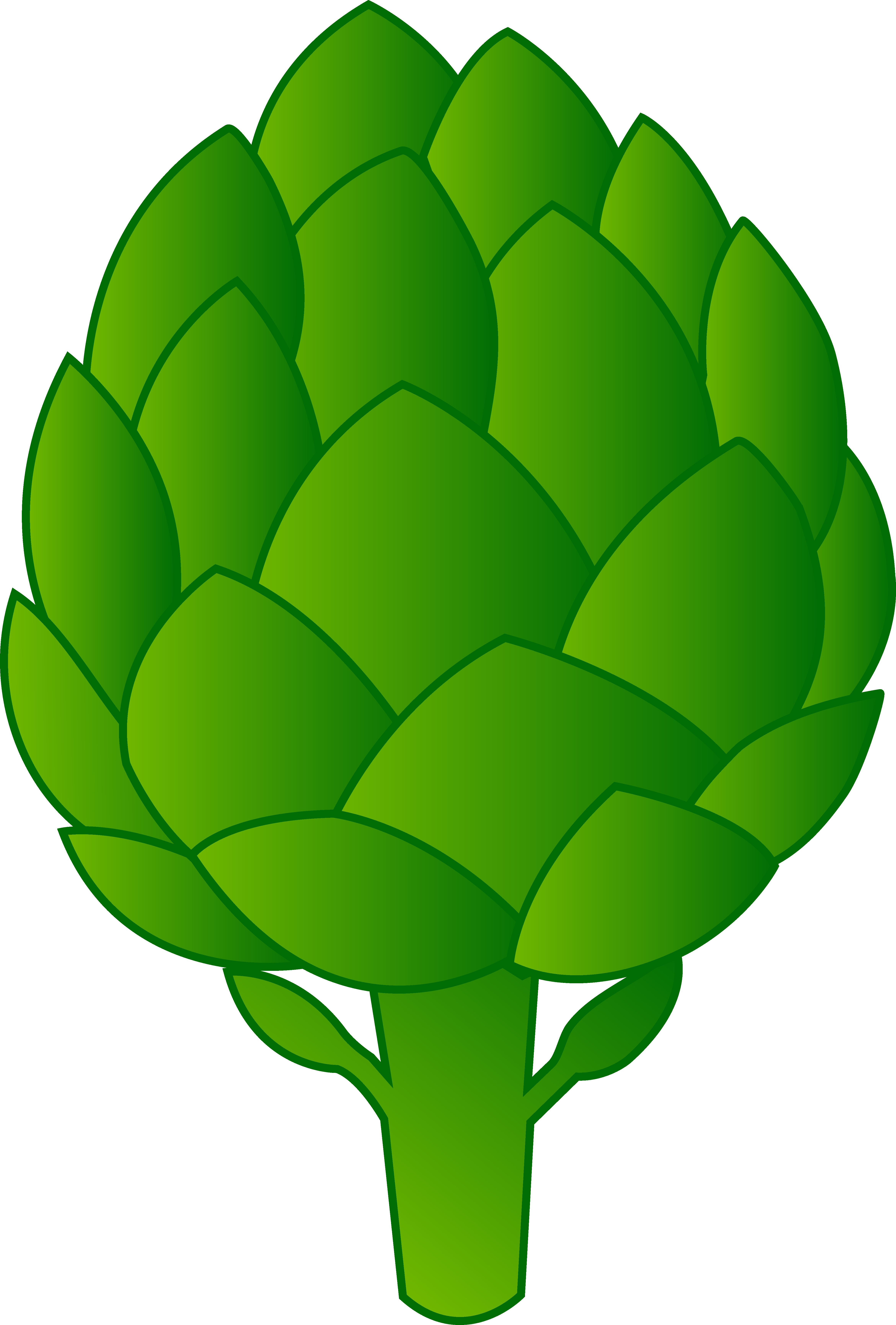 4683x6921 Green Artichoke