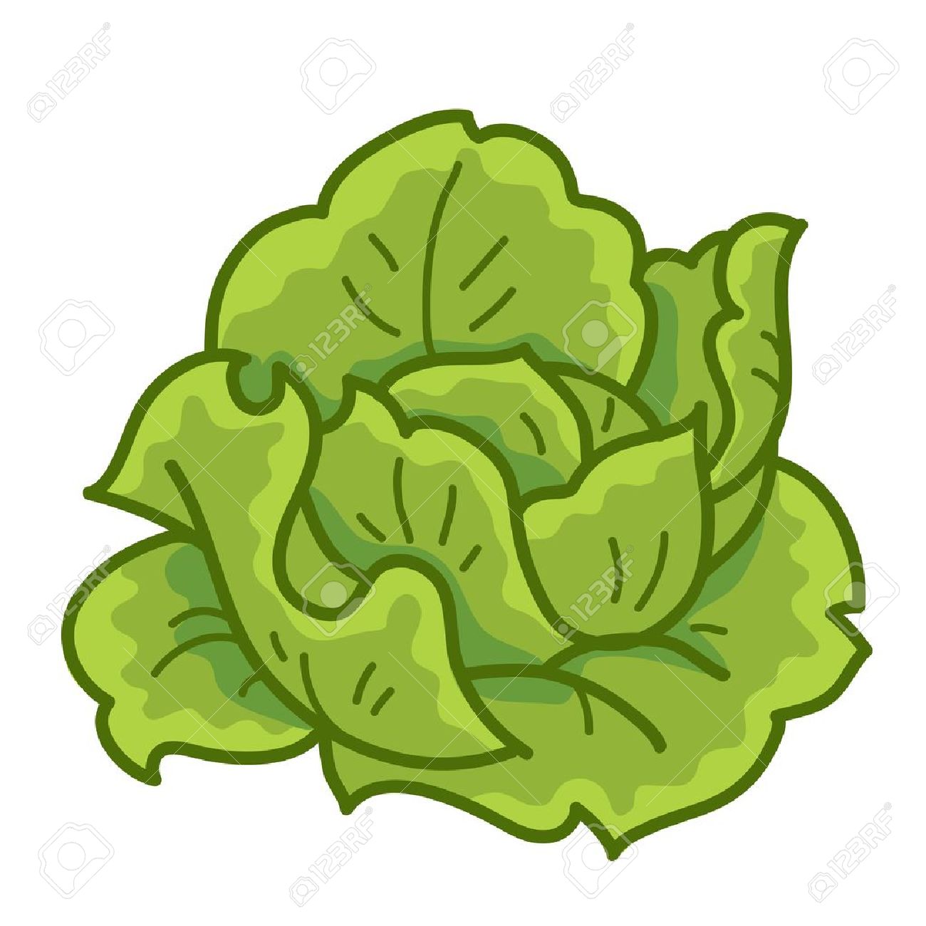 1300x1300 Lettuce Clipart Cartoon