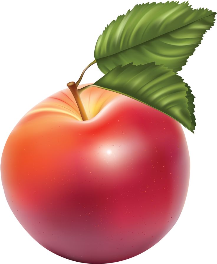 736x895 410 Best Clip Art Food Drink Images Pictures