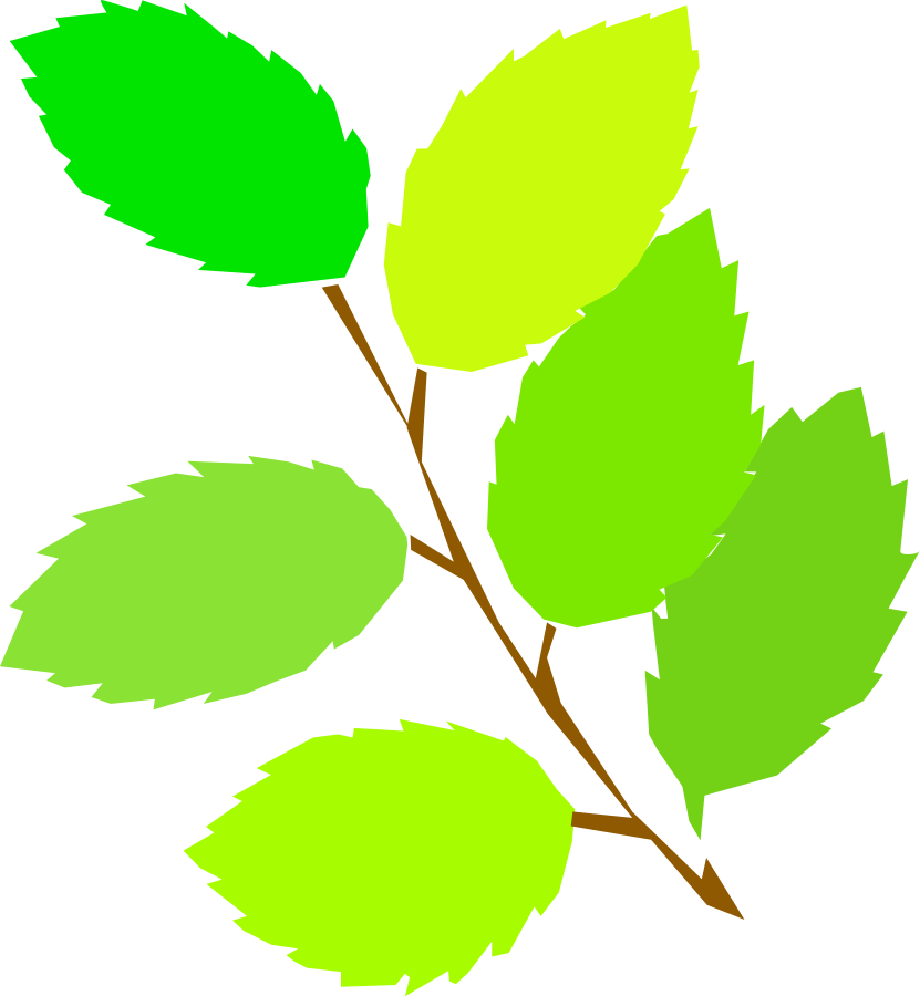 831x900 Ash Leaf Clip Art
