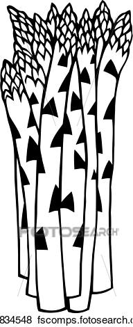 192x470 Clip Art Of , Asparagus, Food, Produce, Vegetable, U19834548
