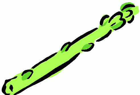 491x333 Regular Clip Completely