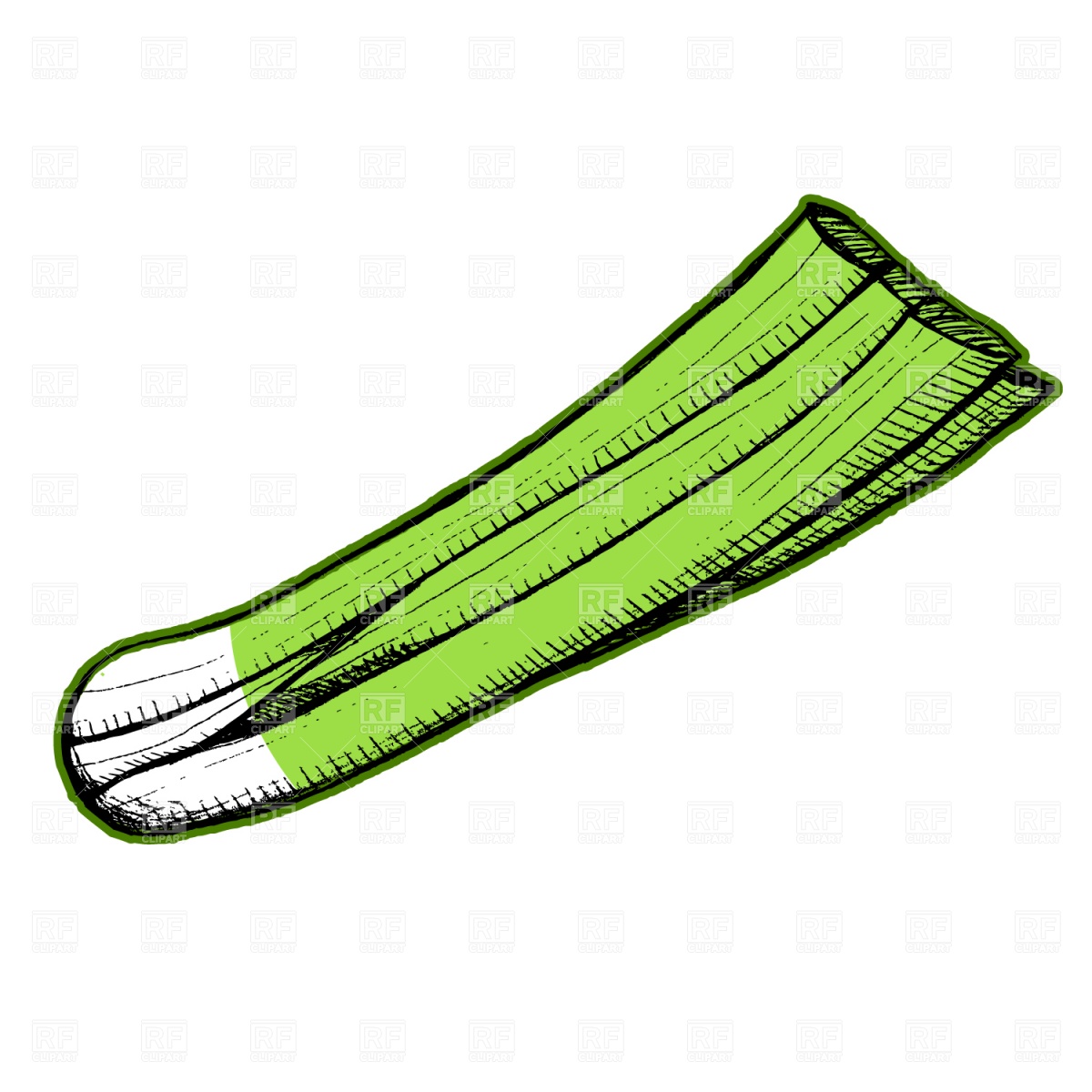 1200x1200 Leek Royalty Free Vector Clip Art Image