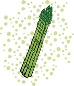145x170 White Asparagus Clip Art