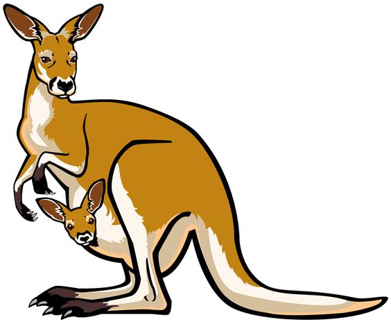564x467 Clipart Australian Animals