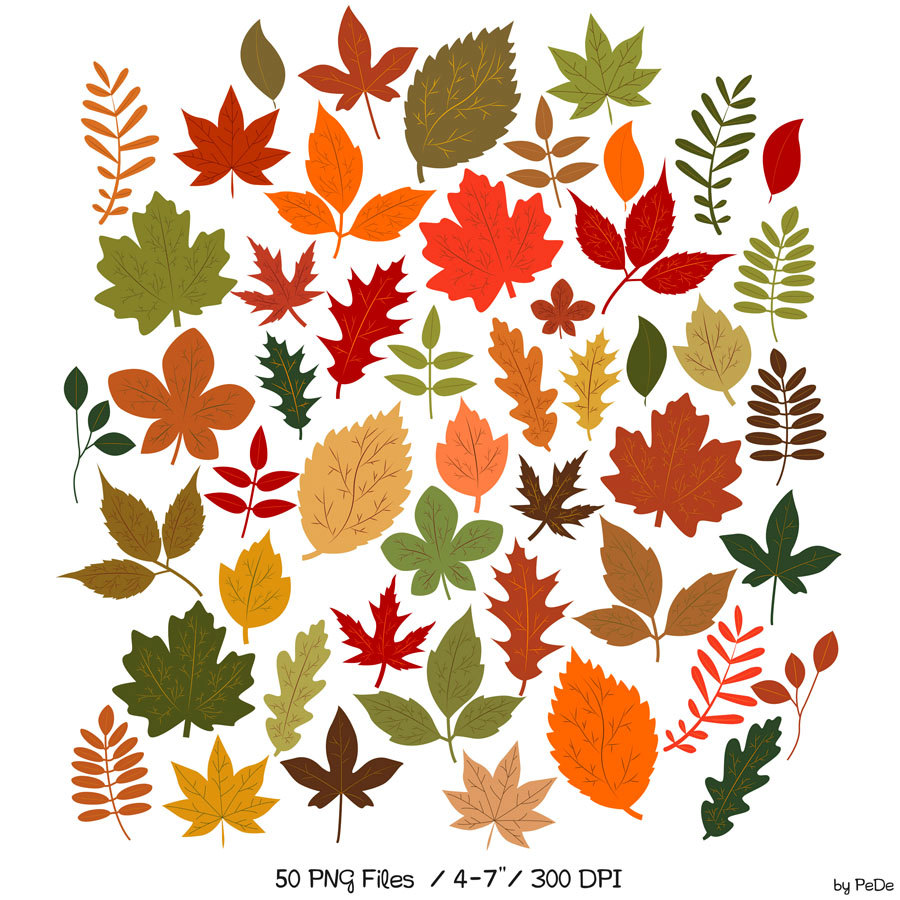 900x900 Autumn Leaves Clipart