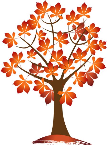 450x610 73 Best Autumn Leaves Pictures Images Board