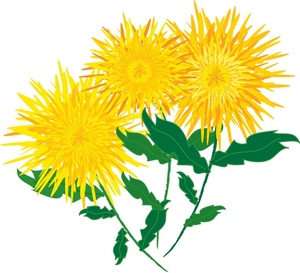 300x273 Autumn Chrysanthemum Clipart