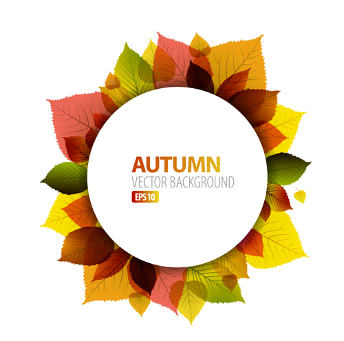 500x495 Autumn Leaves Frame Vector Background
