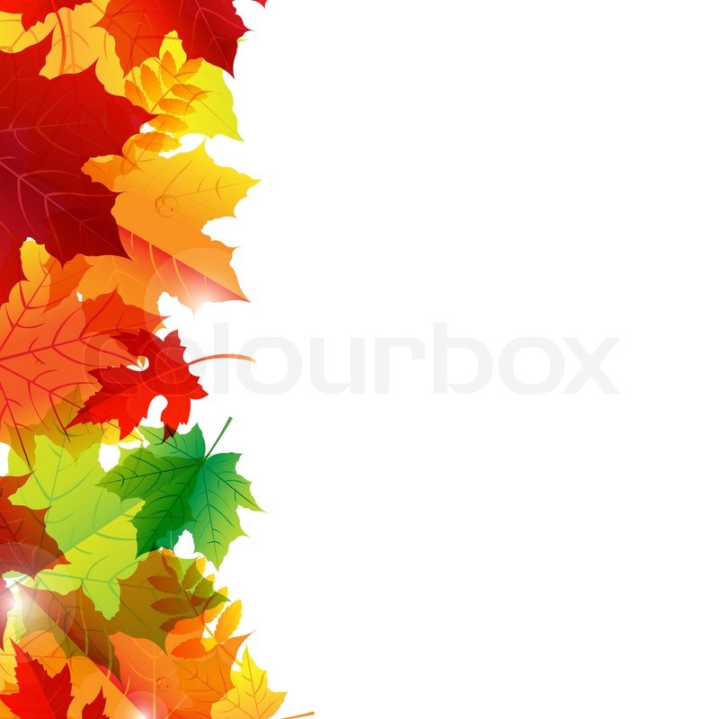 800x800 Autumn Leaves Border Stock Vector Colourbox
