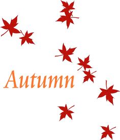 236x275 Clip Art Autumn Nature Borders Fall Border Maple Leaves Isolated