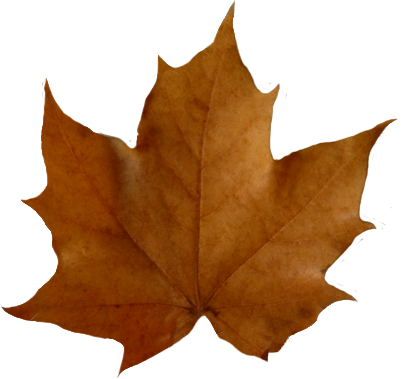 409x379 Leaf Fall Leaves Clip Art Free Vector For Free Download About Free