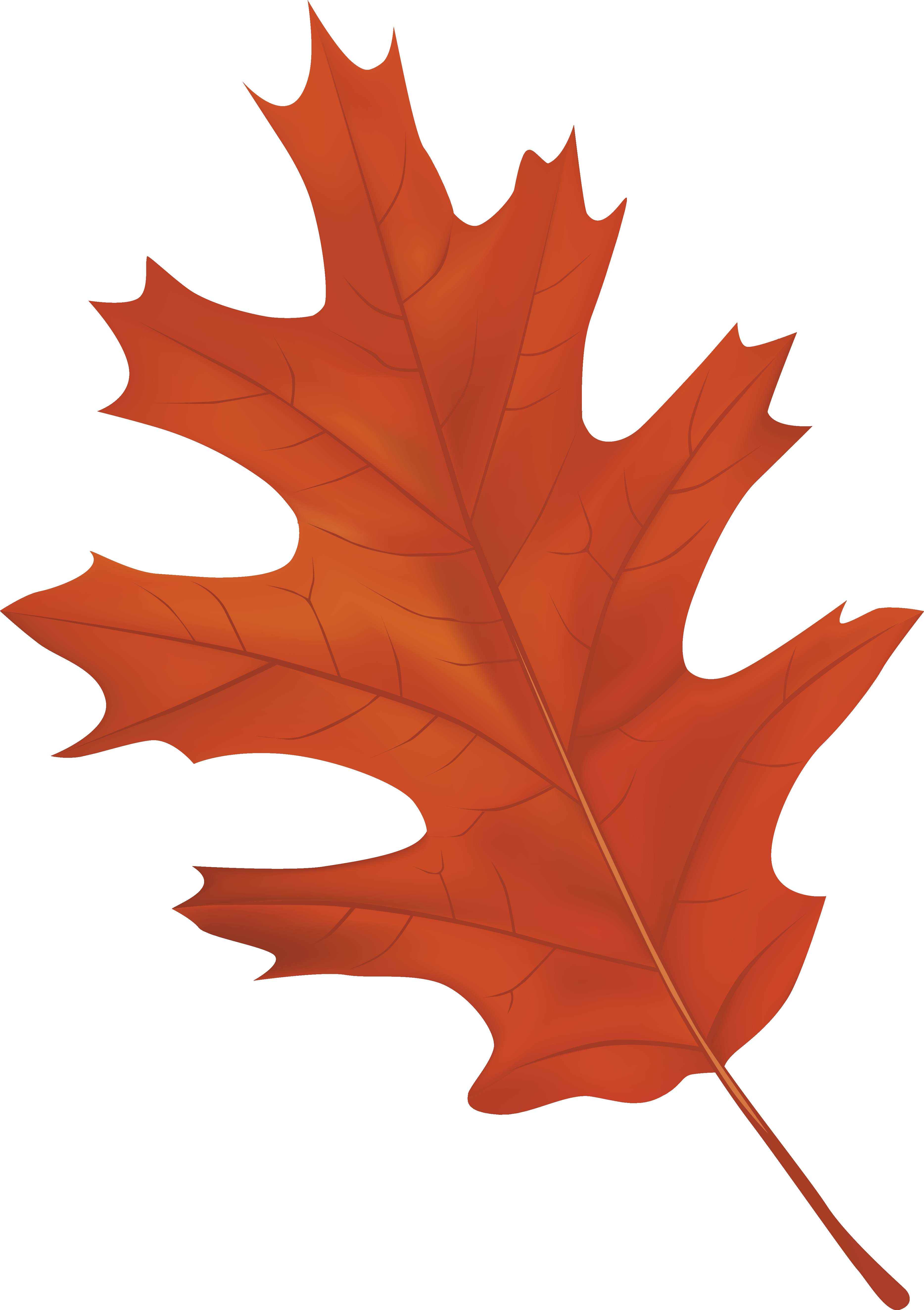 3735x5295 Brown Autumn Leaf Png Clipart Imageu200b Gallery Yopriceville