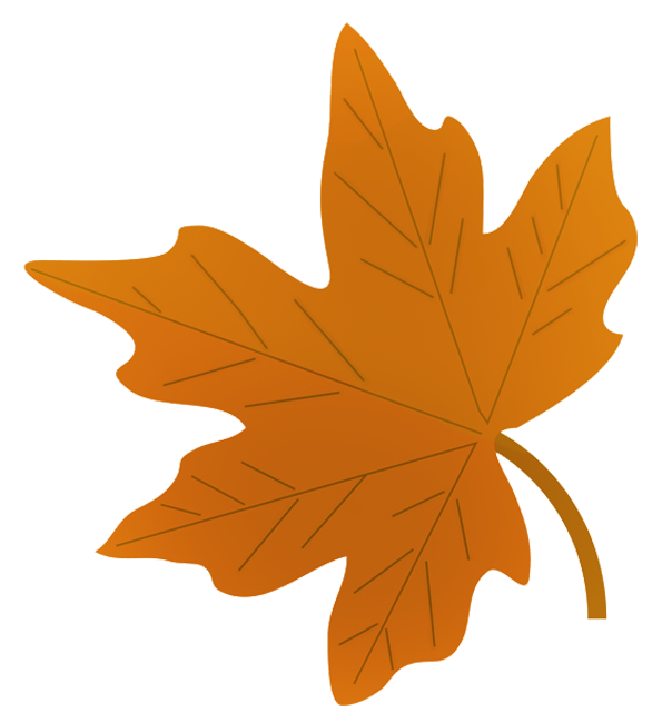 595x650 Drawn Leaf Autumn Leaf