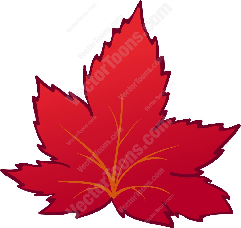 1024x969 Red Autumn Leaf Cartoon Clipart