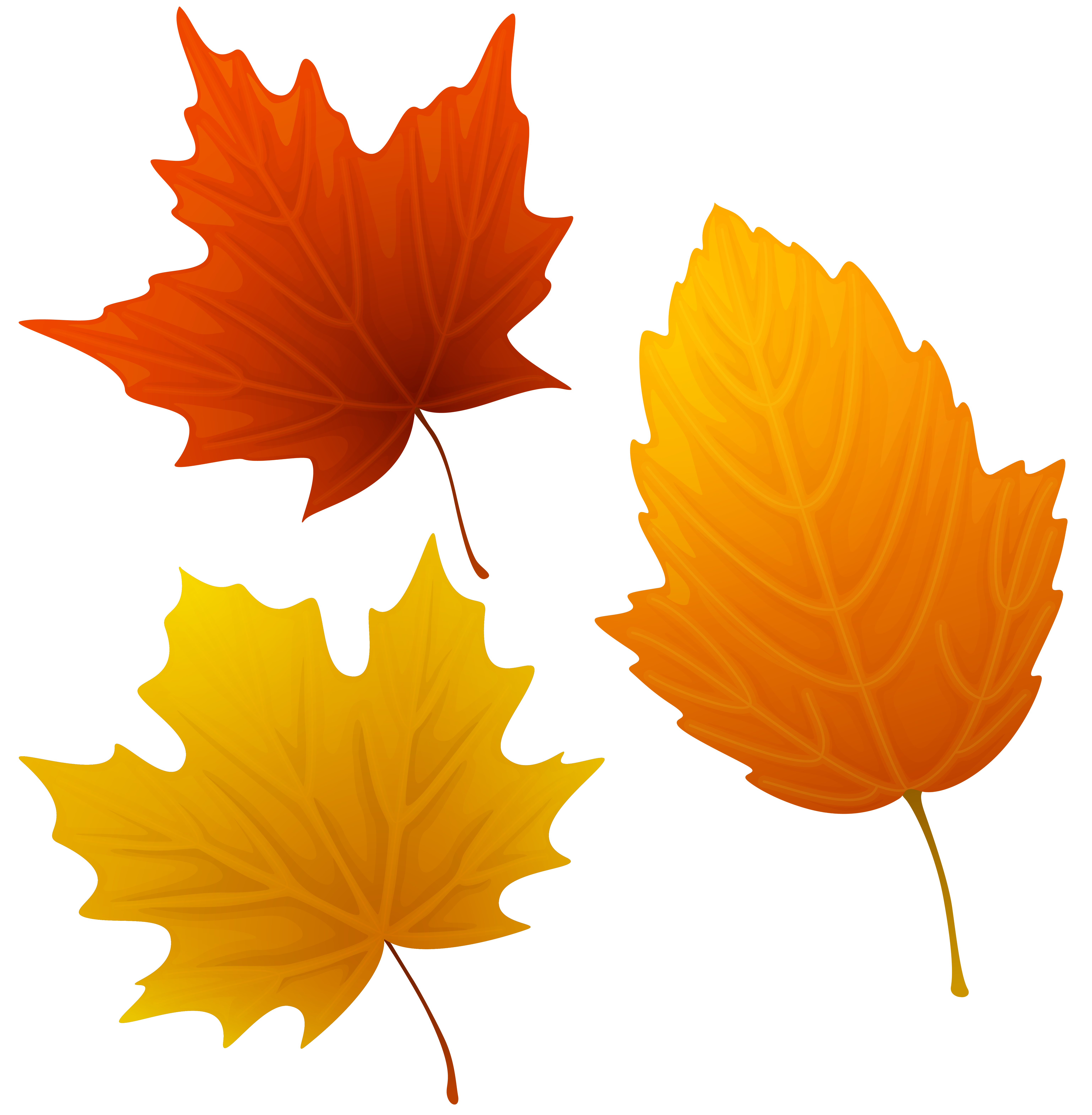6148x6275 Set Of Autumn Leaves Clipart P
