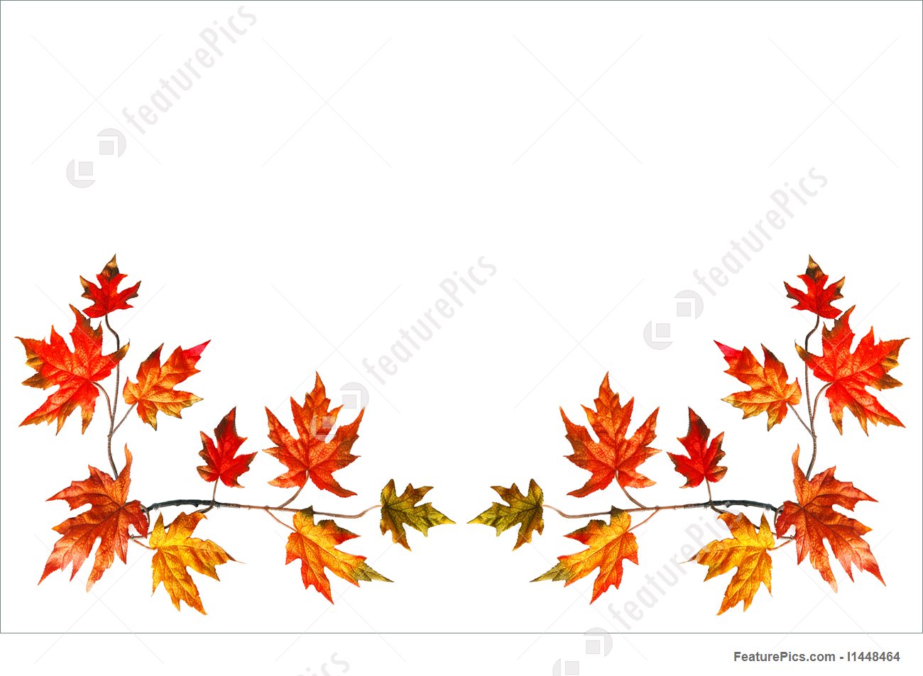 1300x953 Autumn Frame Stock Image I1448464