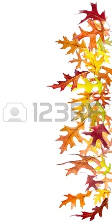 225x450 Autumn Oak Leaves Falling And Spinning Isolated On White