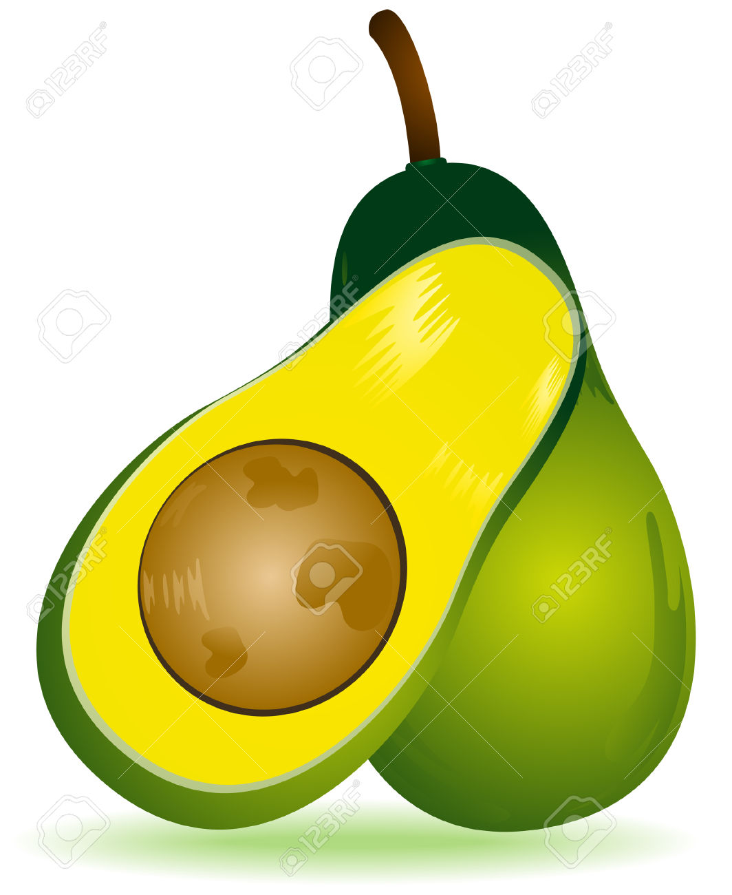 1064x1300 Avocado Clipart Vector