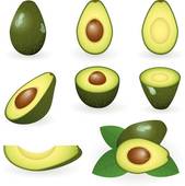 169x170 Avocado Clip Art