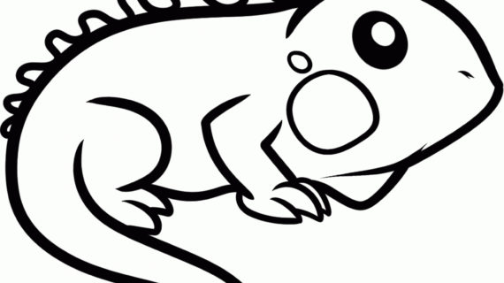 570x320 Cartoon Animals Drawings Funny Puppy Cute Baby Animals Check Out