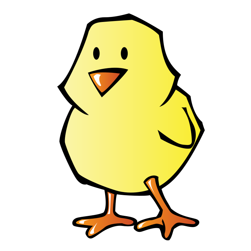 800x800 Baby Animal Clipart Baby Chicken