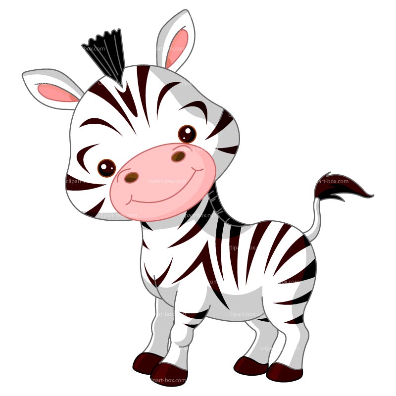 800x800 Graphics For Zebra Baby Shower Graphics