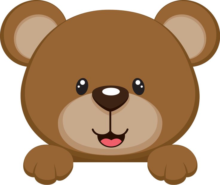736x620 Head Clipart Baby Bear